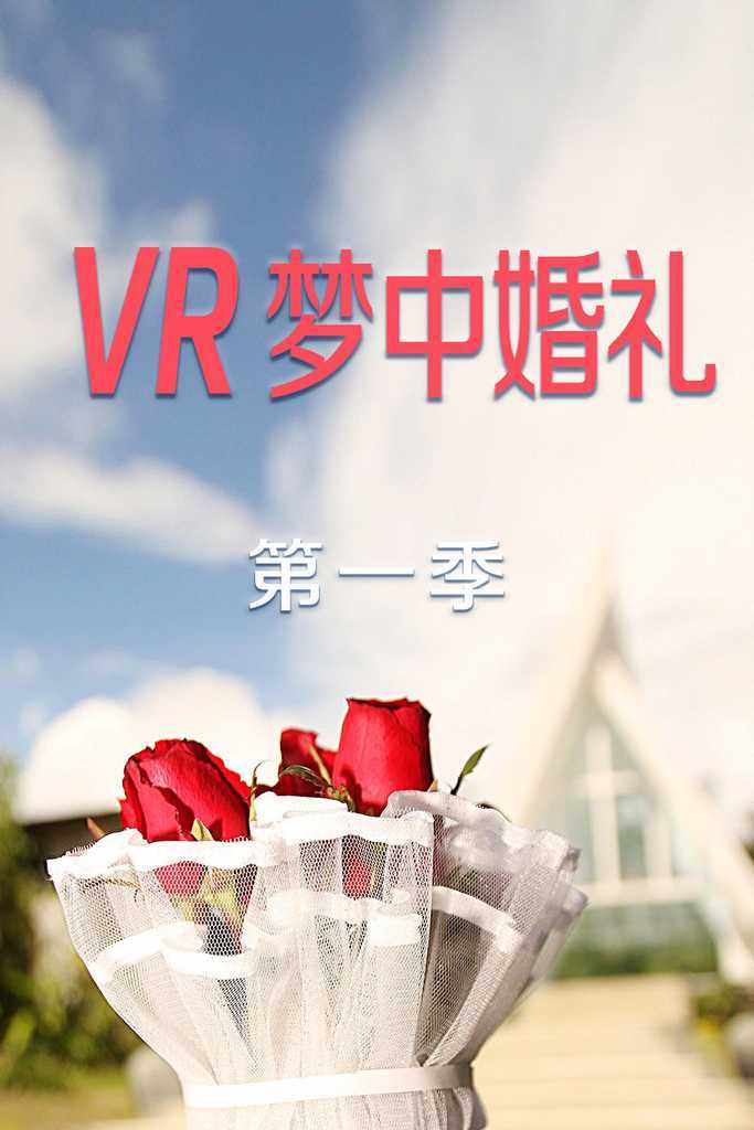 VR梦中婚礼 第一季 第05期