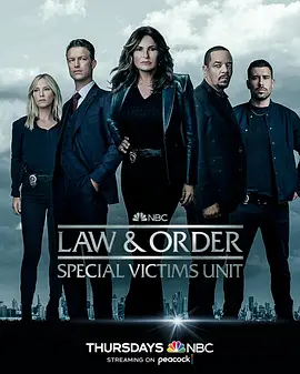 法律与秩序：特殊受害者 第二十四季 第10集