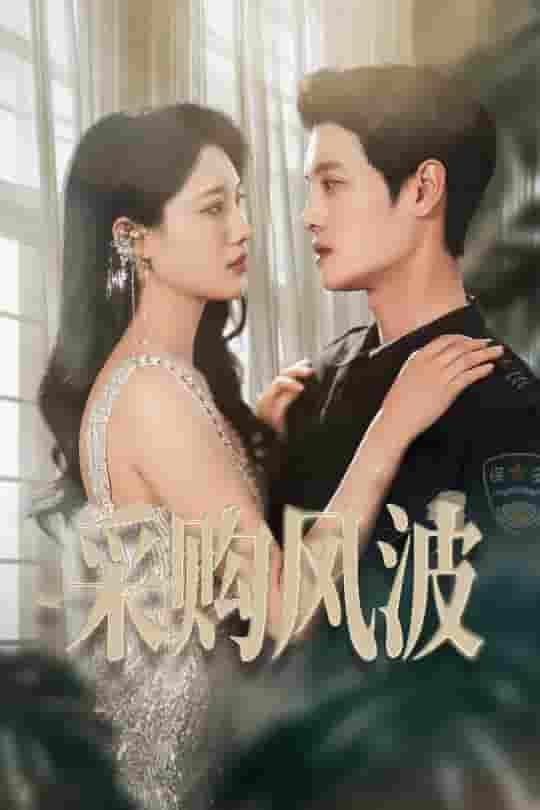 采购风波(全集)