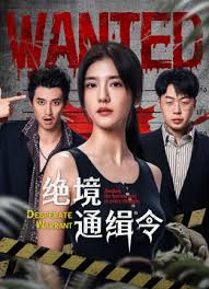 绝境通缉令(全集)