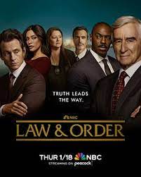 法律与秩序 第二十三季 第05集