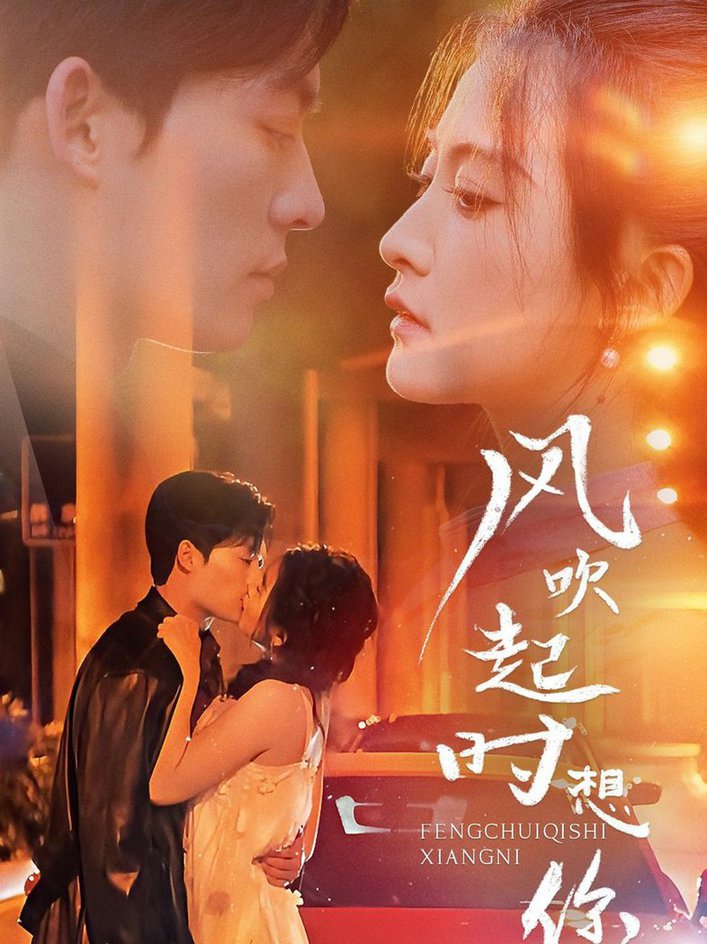 风吹起时想你 第31-56集(大结局)